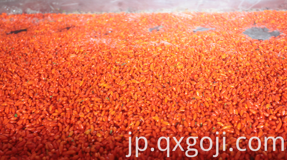 Red Organic Goji Berry